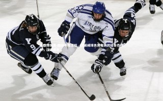 易胜博体育-围绕半程落后，汉诺威球员需发扬团结合作精神，汉诺威市