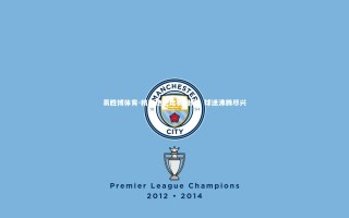 易胜博体育-精彩绝伦比赛回顾，球迷沸腾尽兴