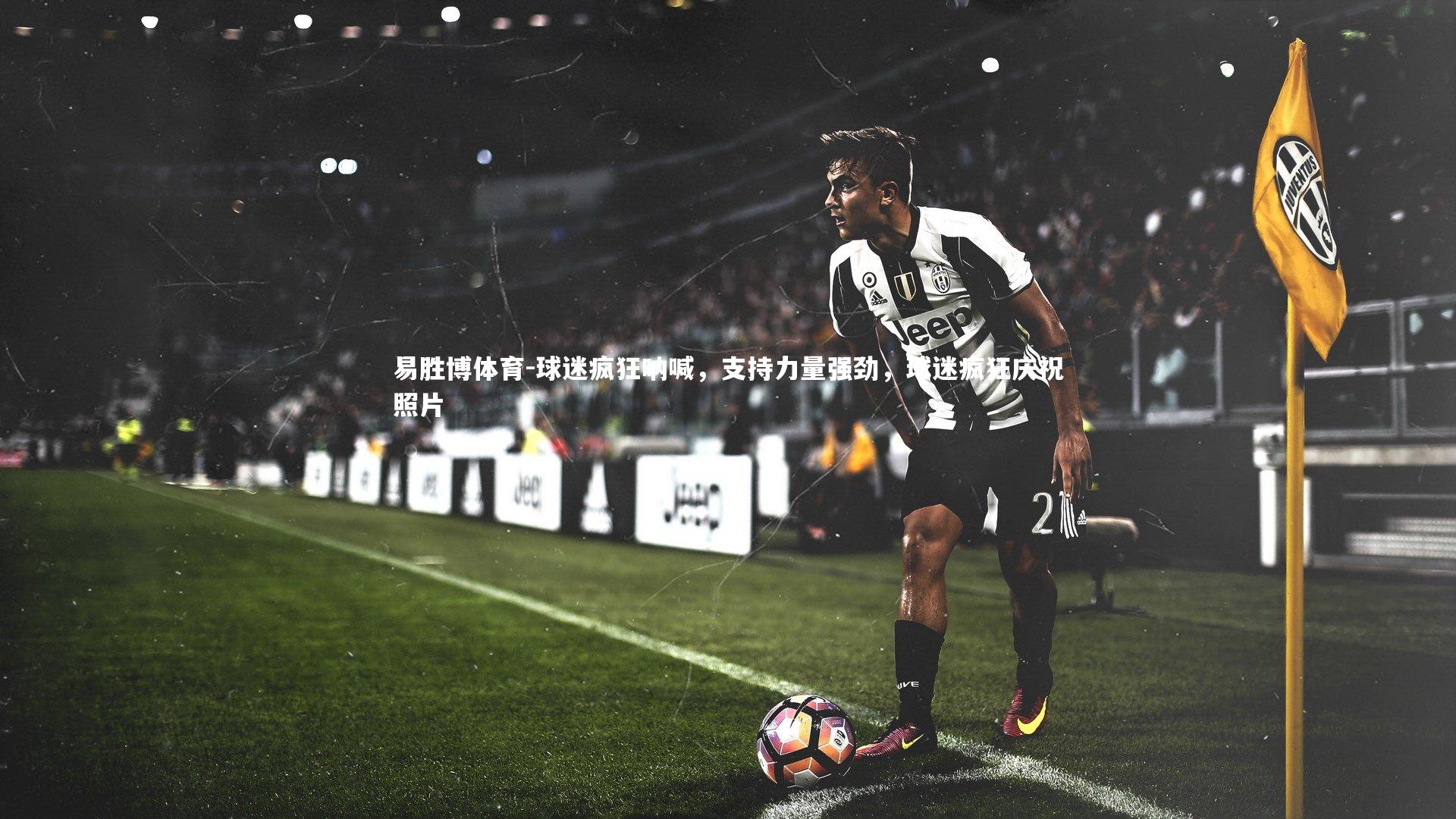 易胜博体育-球迷疯狂呐喊,支持力量强劲,球迷疯狂庆祝照片-第1张图片-易胜博体育 易胜博体育-球迷疯狂呐喊,支持力量强劲,球迷疯狂庆祝照片-第1张图片-易胜博体育