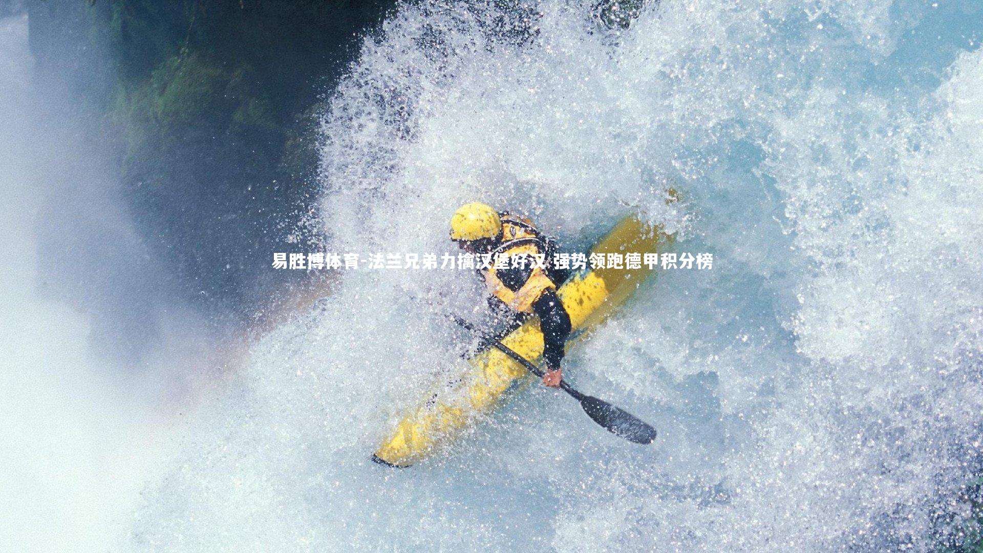 易胜博体育-法兰兄弟力擒汉堡好汉 强势领跑德甲积分榜-第1张图片-易胜博体育